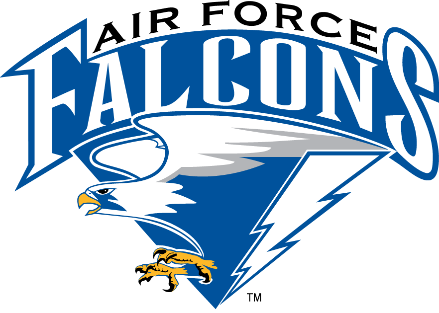 Air Force Falcons 1995-2003 Primary Logo diy DTF decal sticker